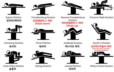 체위 .